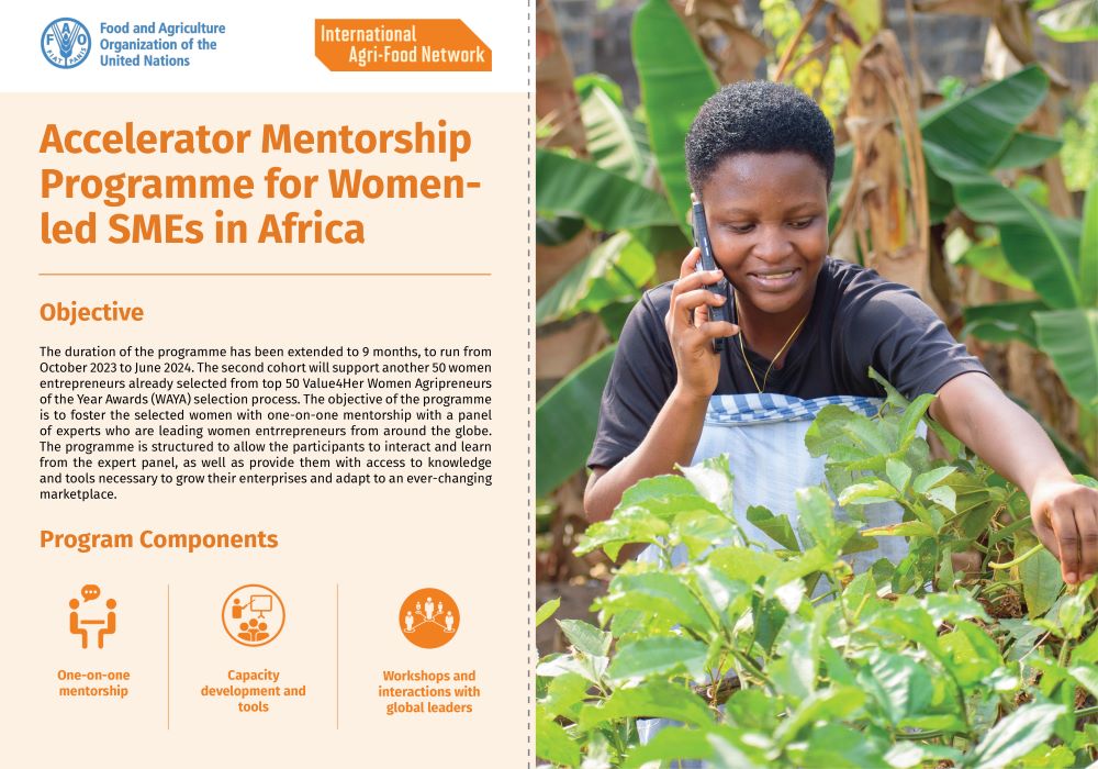 Accelerator Mentorship Programme for Women-led SMEs in Africa extended to 9 months